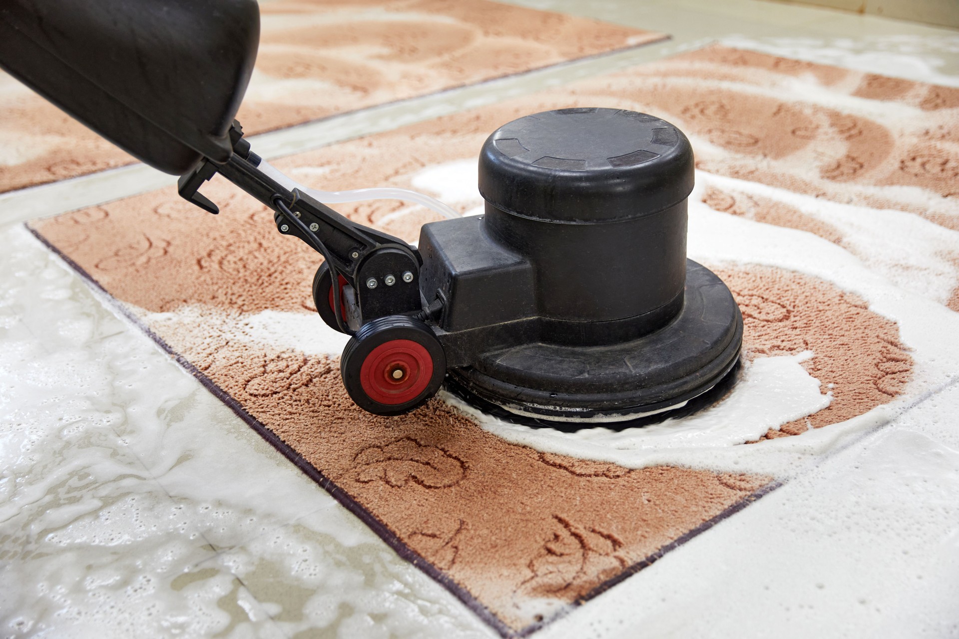 lancaster county Carpet chemical cleaning with professionally disk machine. Early spring cleaning or regular clean up.
