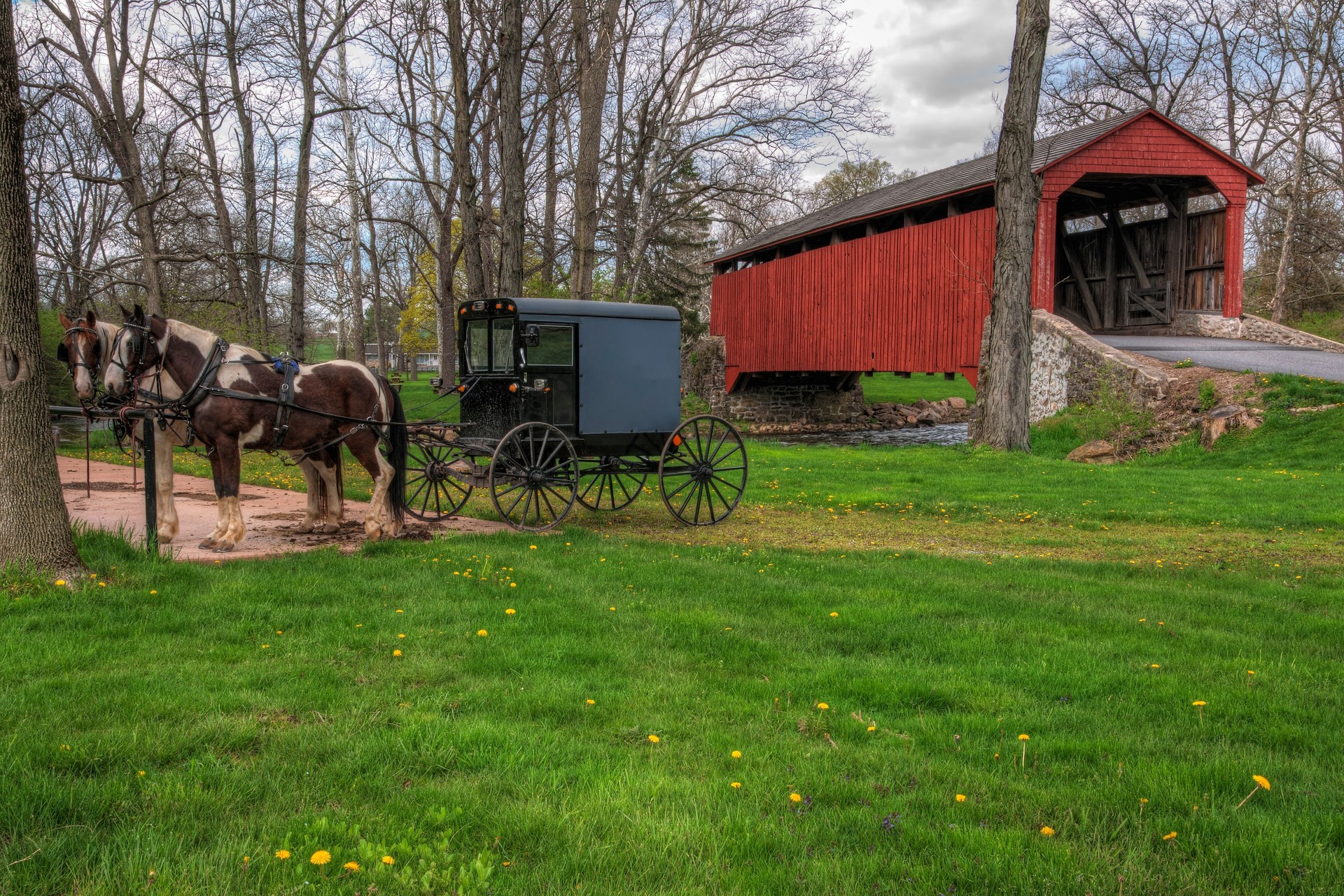 Amish Buggy Parked by Covered Bridge