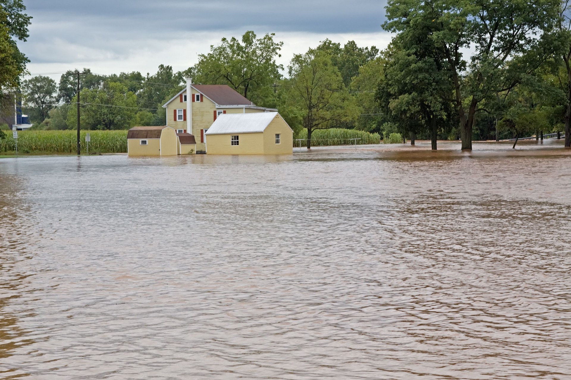 Flood Waters