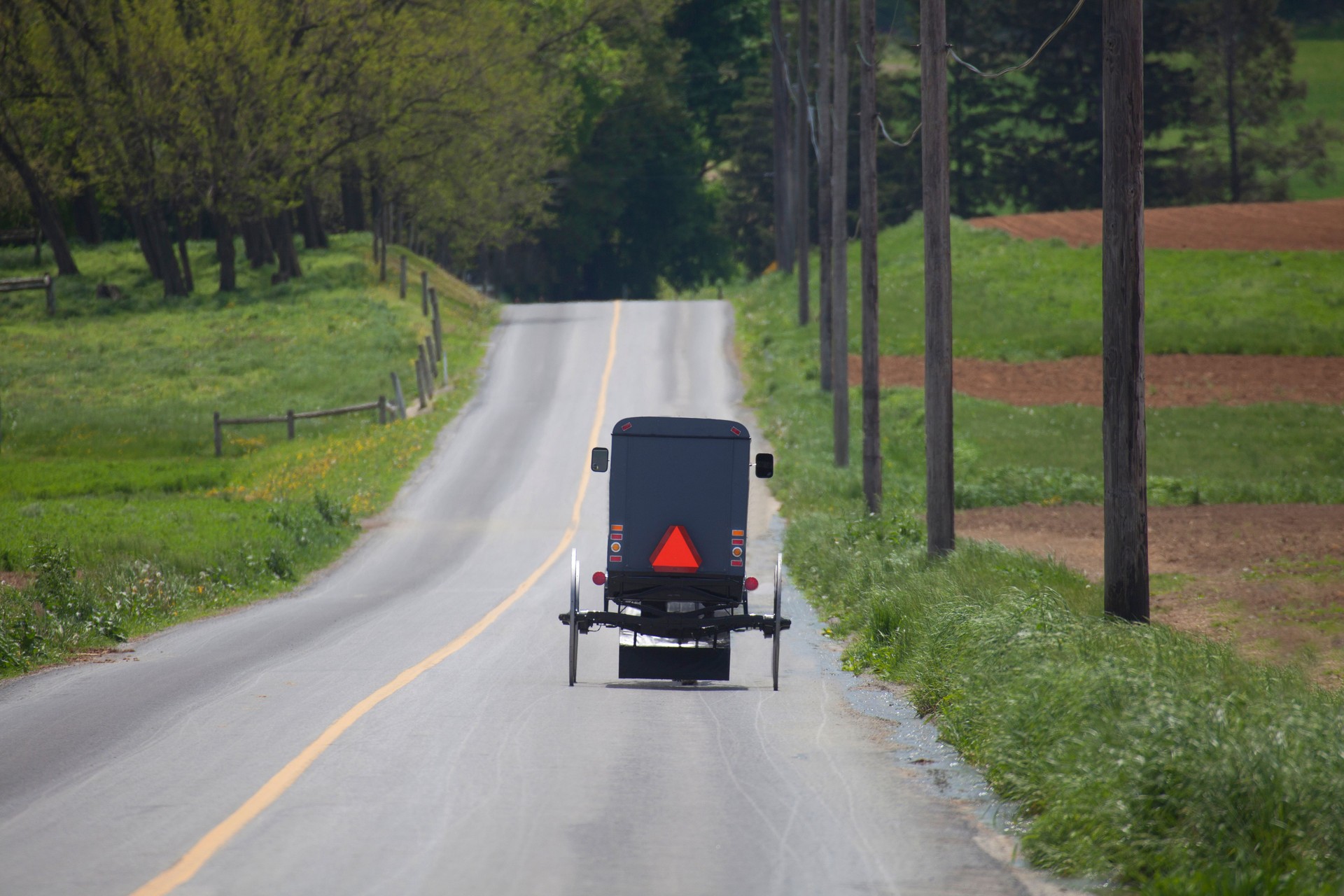 USA Lancaster county amish buggy on raoadway